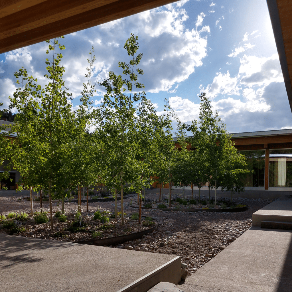 IMG_20210608_182908742_HDR (1)