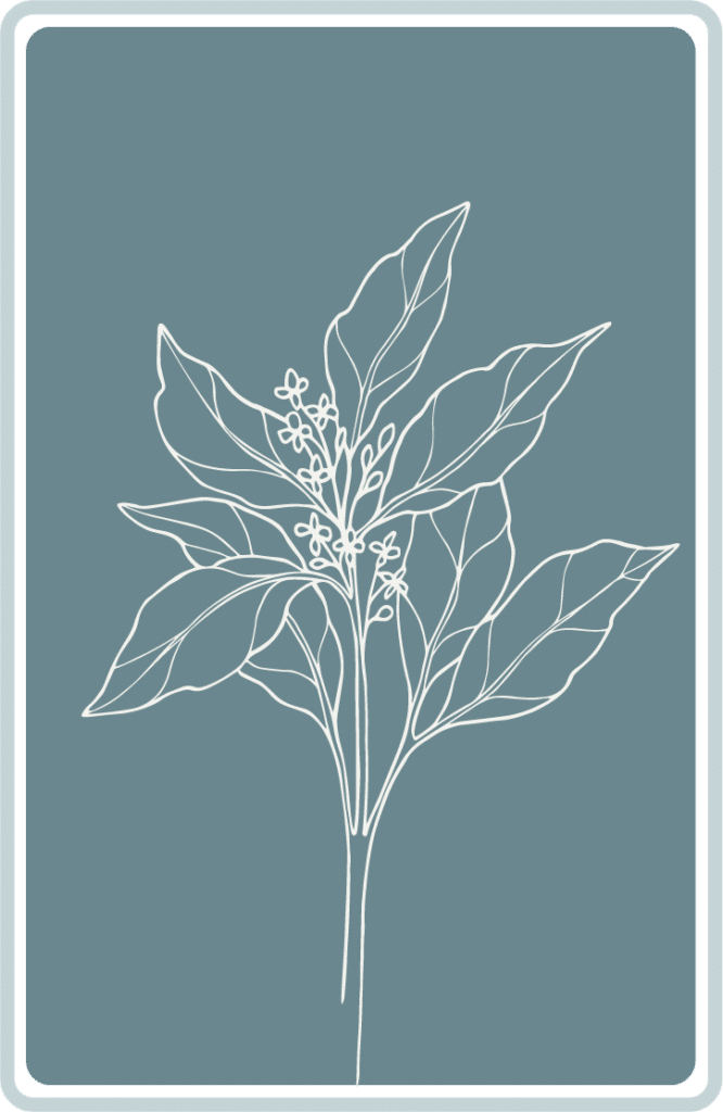 Icon - project_Project Icon flower