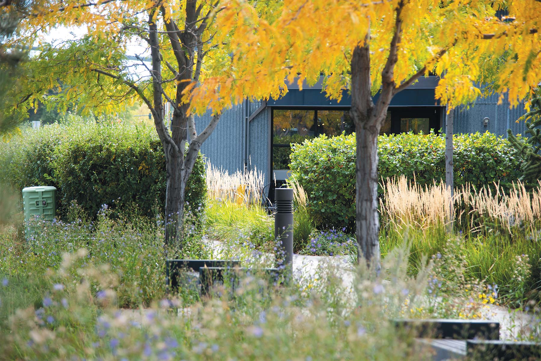 cannery-district-project